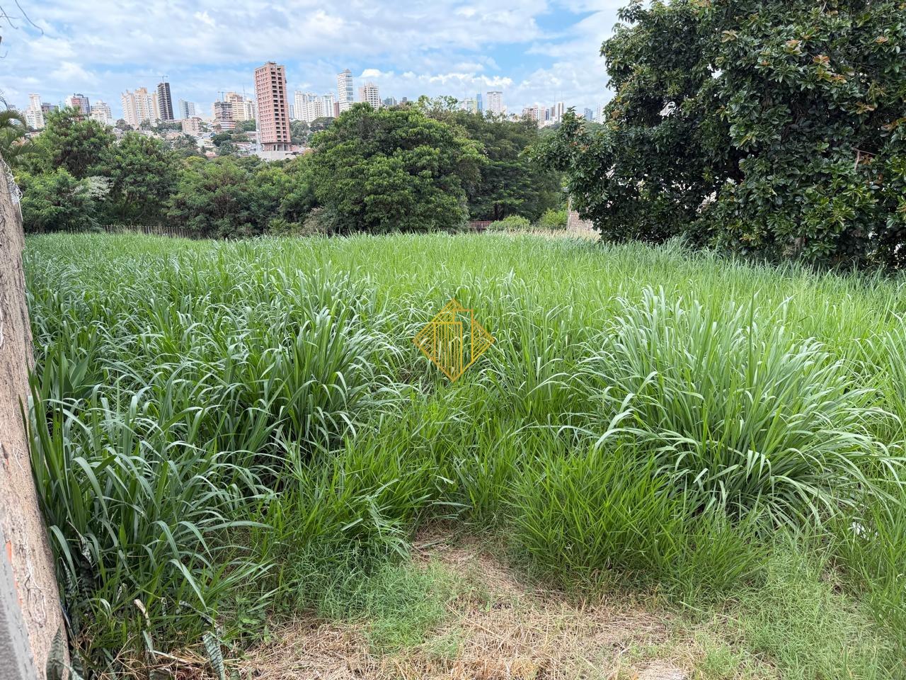 Terreno à venda no Country: 