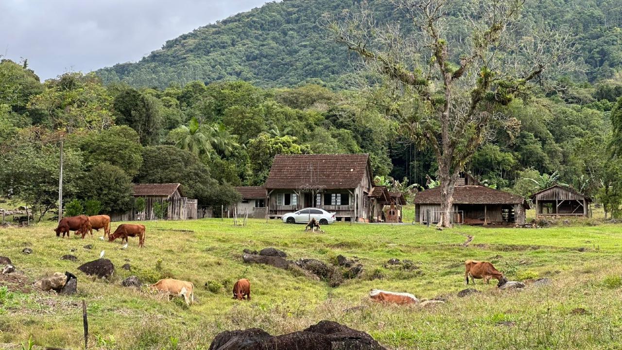 Chácara à venda no Rio Da Luz: 