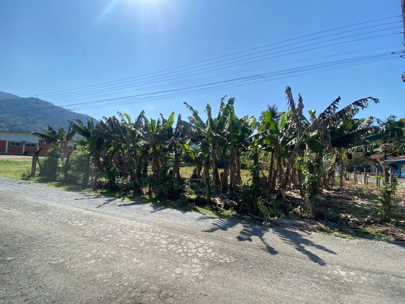 Terreno à venda no Rio da Luz: 
