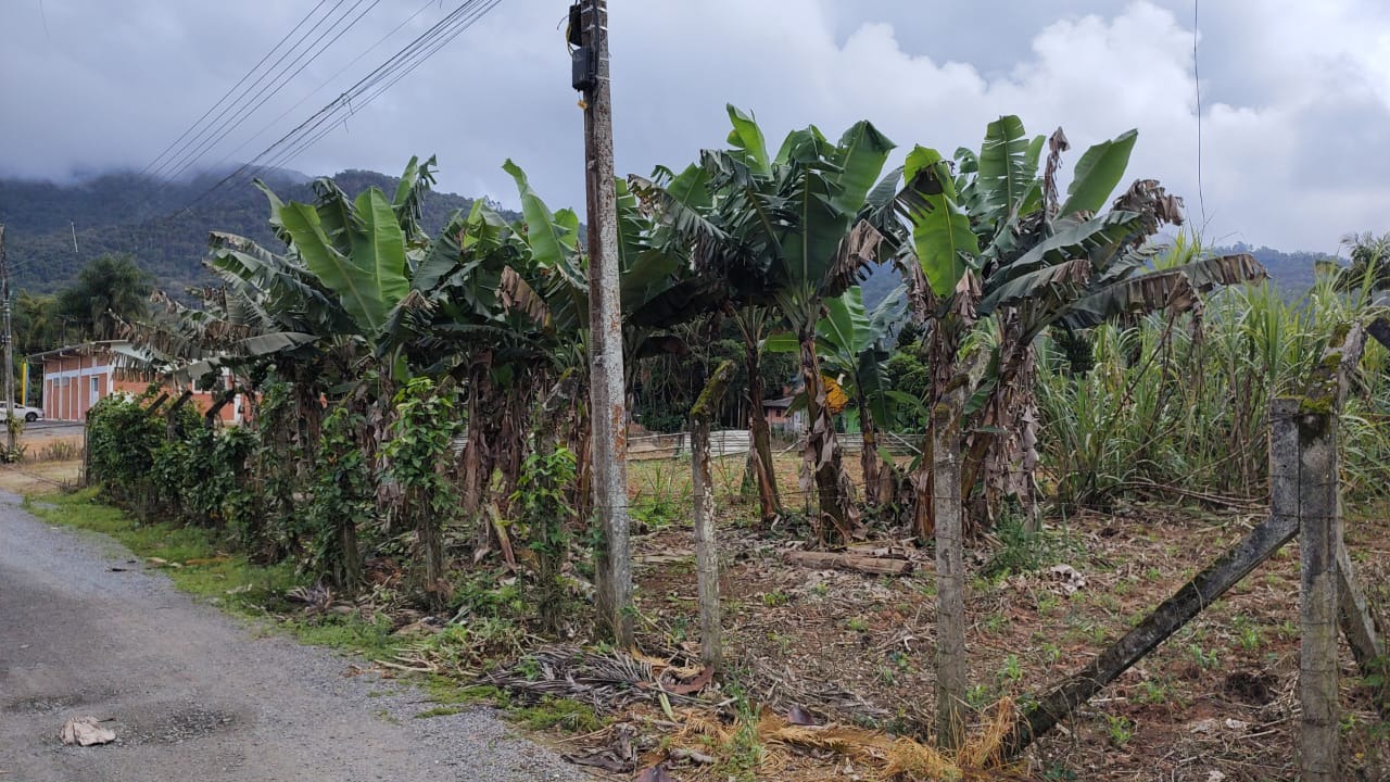 Terreno à venda no Rio da Luz: 
