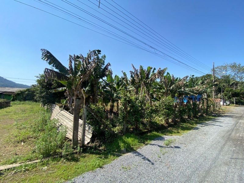 Terreno à venda no Rio da Luz: 