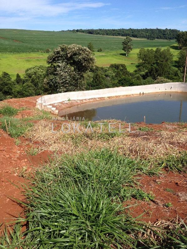 Imóveis Rurais à venda no SANTA TEREZA:
