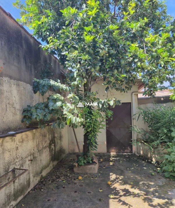 Casa para aluguel no Nossa Senhora da Abadia: 