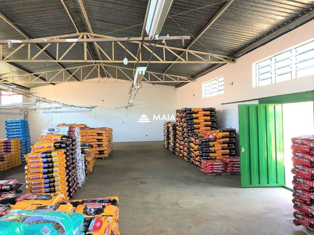 Galpão à venda no Manoel Mendes: 