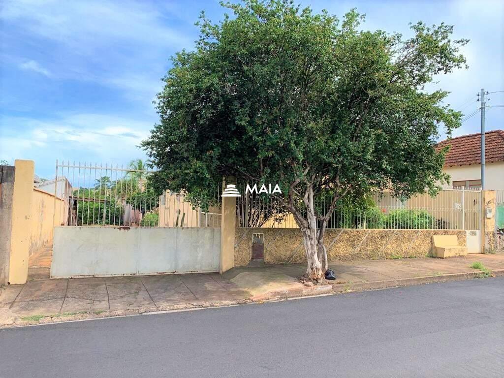 Terreno/Área à venda no Santa Maria: 