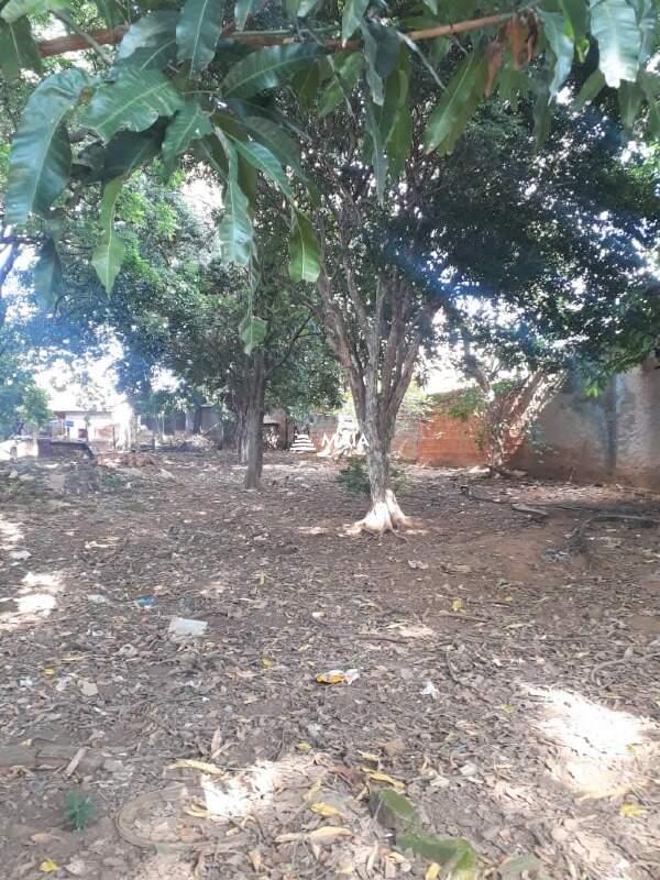 Terreno/Área à venda no São Benedito: 