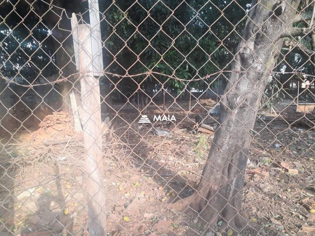 Terreno/Área à venda no São Benedito: 