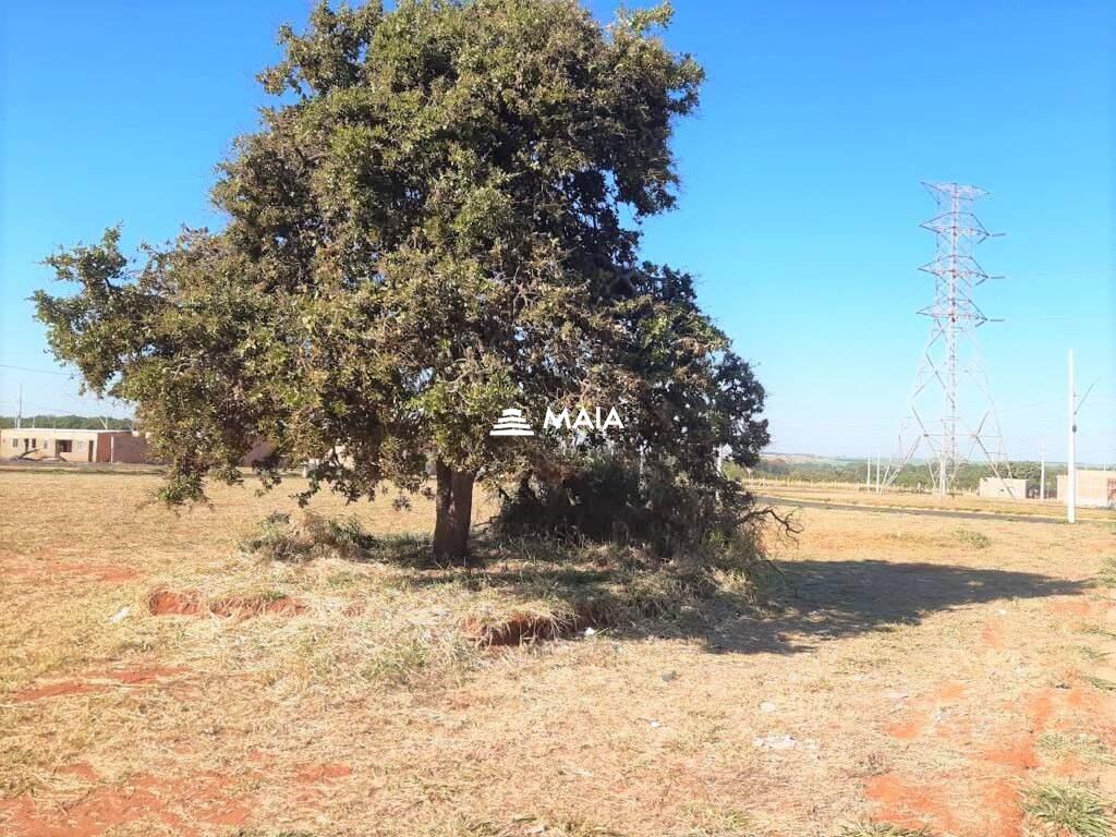 Terreno/Área à venda no Parque das Laranjeiras: 