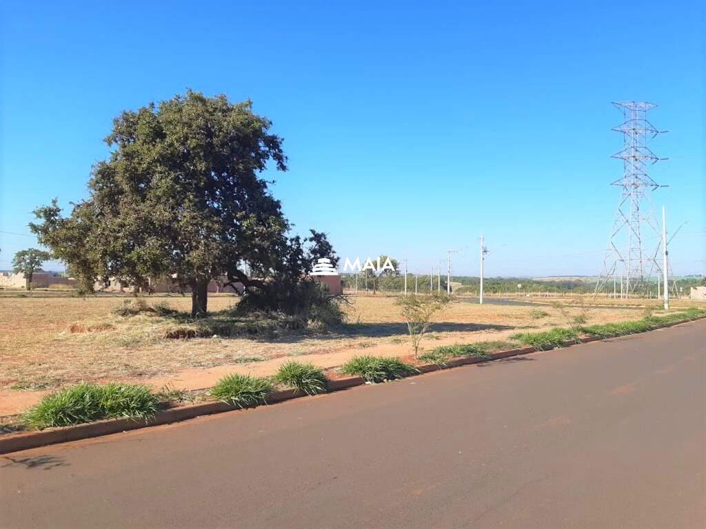 Terreno/Área à venda no Parque das Laranjeiras: 