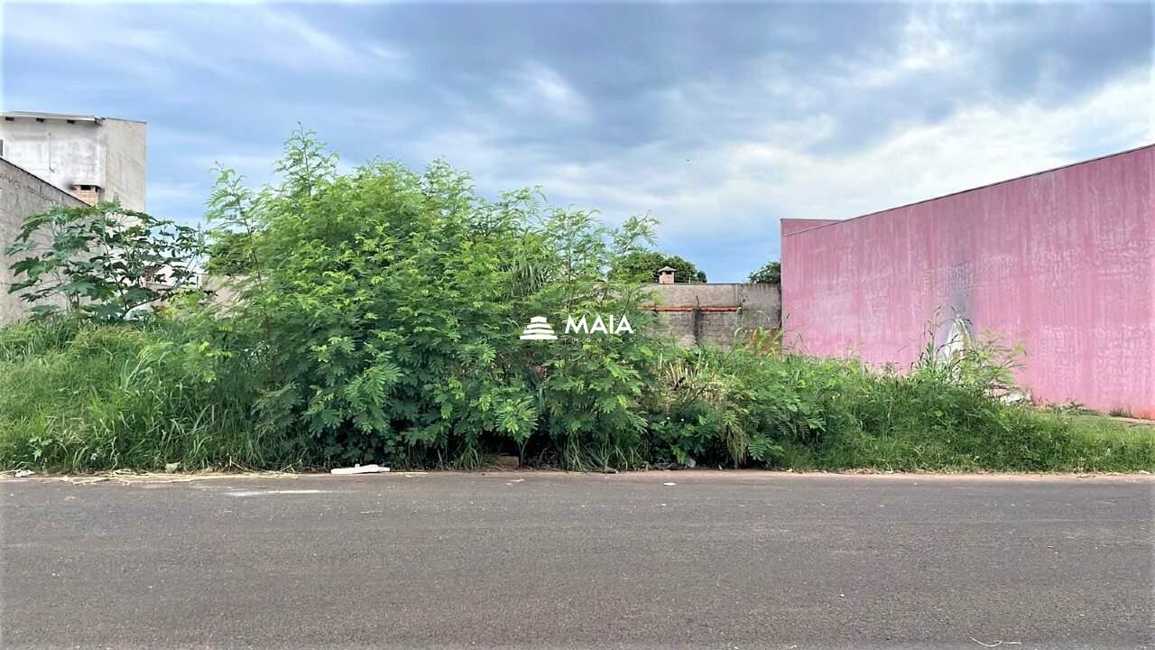 Terreno no Bairro Cidade Ozanan