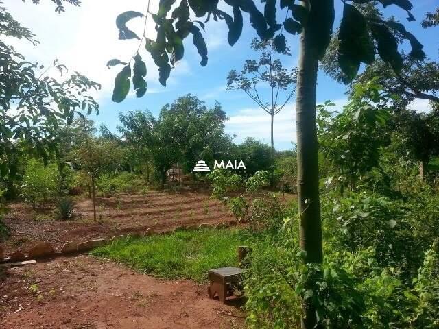 Terreno/Área à venda no Gleba Santa Mônica: 