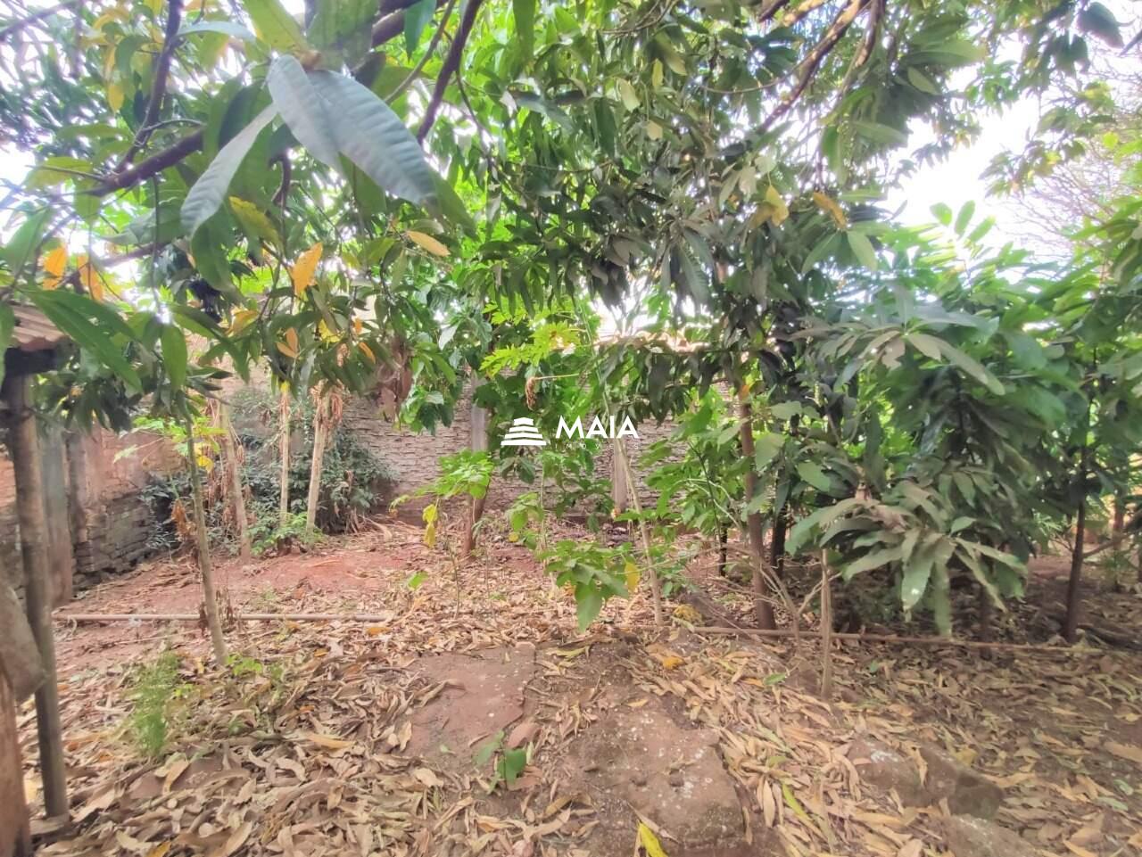 Casa à venda no São Benedito: 