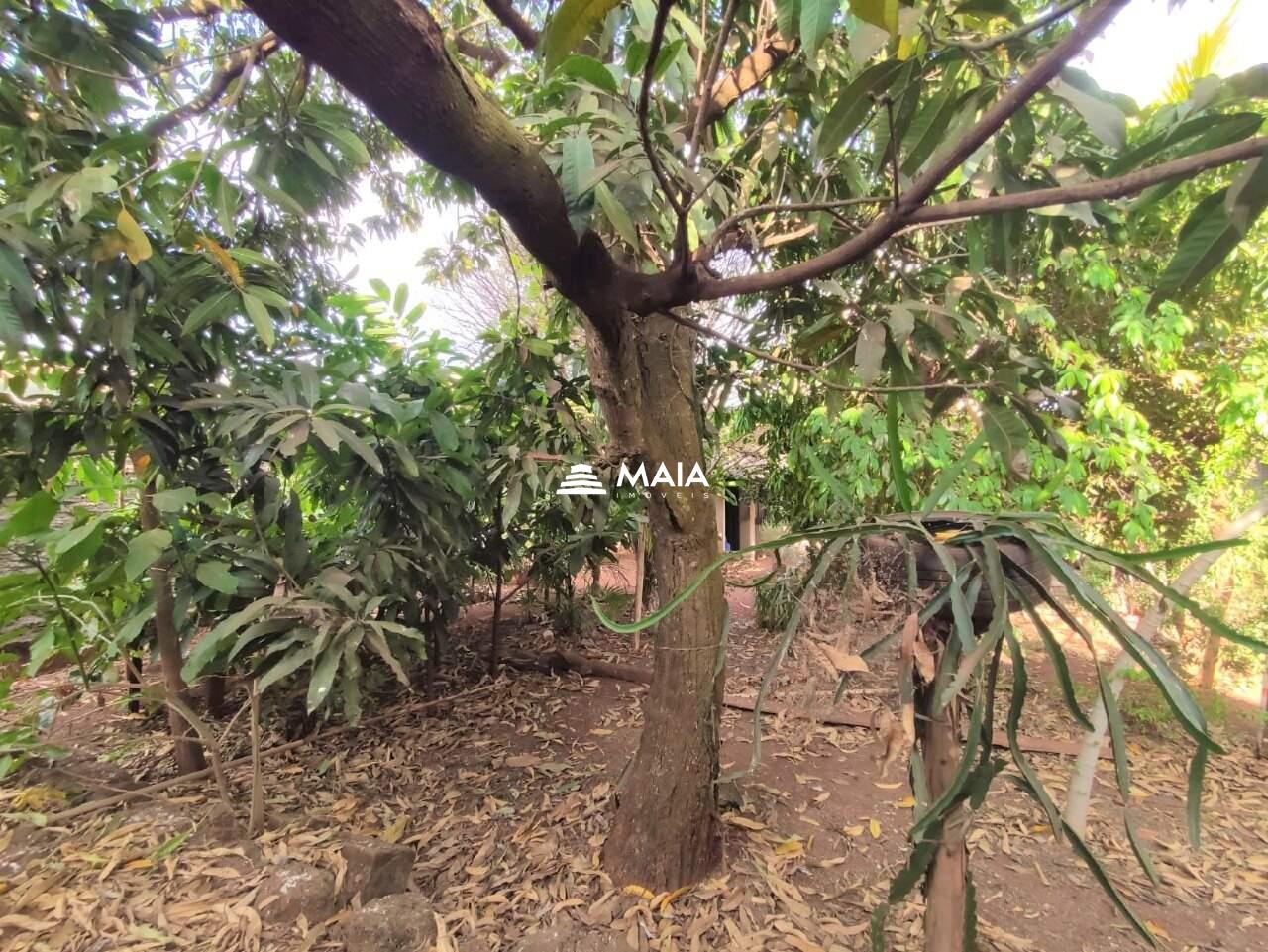 Casa à venda no São Benedito: 