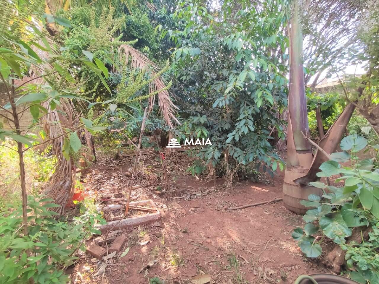 Casa à venda no São Benedito: 