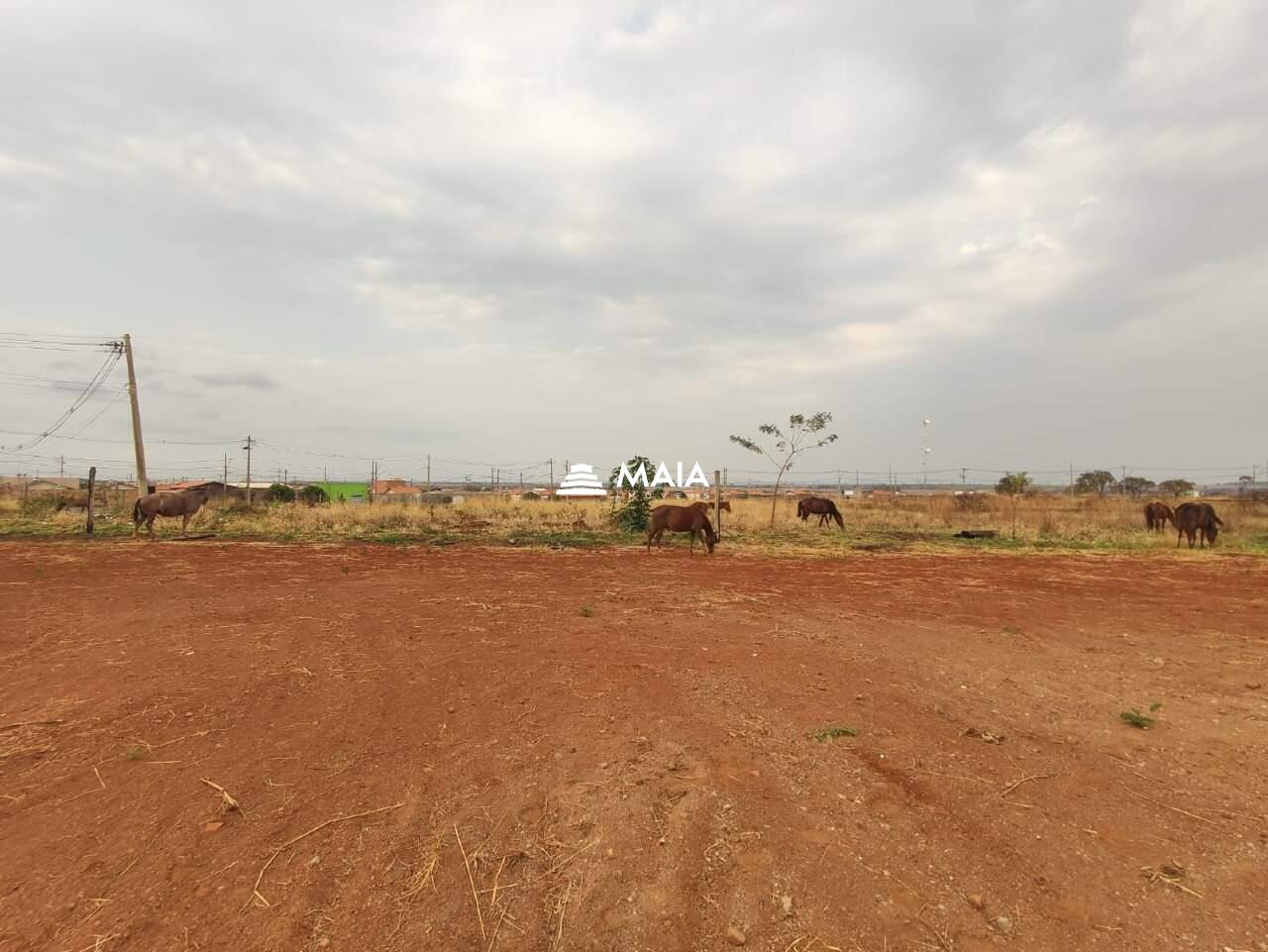 Terreno/Área à venda no Jardim Santa Clara: 