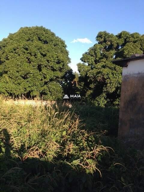 Terreno/Área à venda no Recreio dos Bandeirantes: 