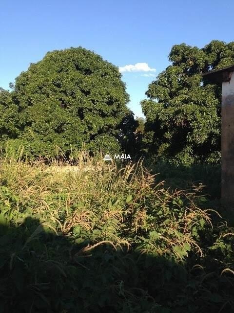 Terreno/Área à venda no Recreio dos Bandeirantes: 