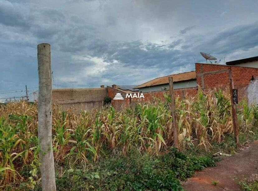 Terreno/Área à venda no Pontal: 