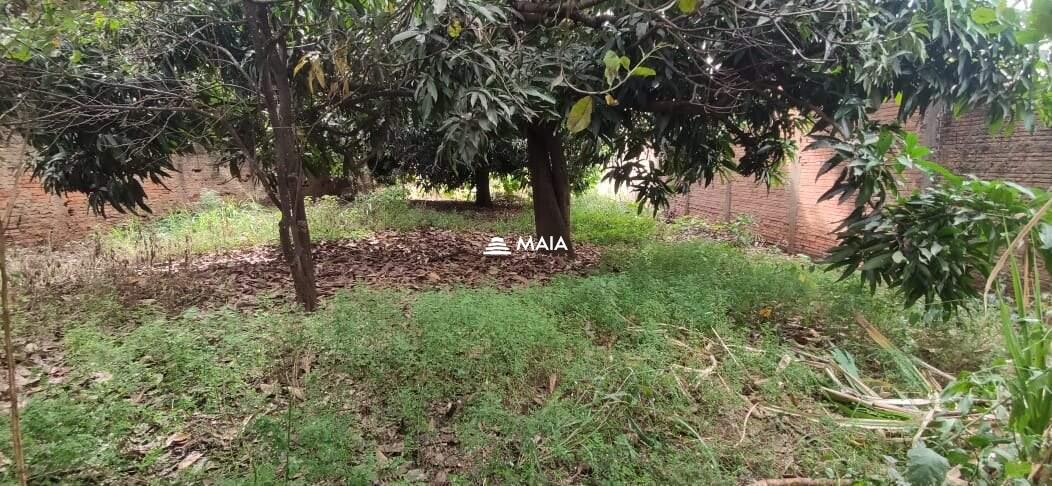 Terreno/Área à venda no Santa Maria: 