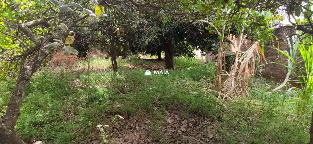 Terreno/Área à venda no Santa Maria: 