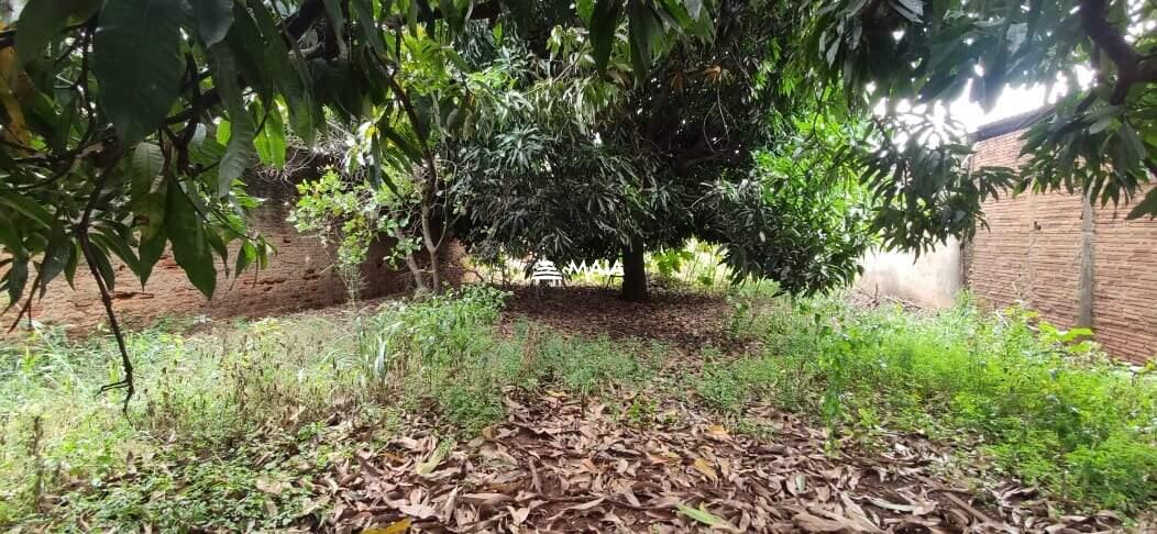 Terreno/Área à venda no Santa Maria: 