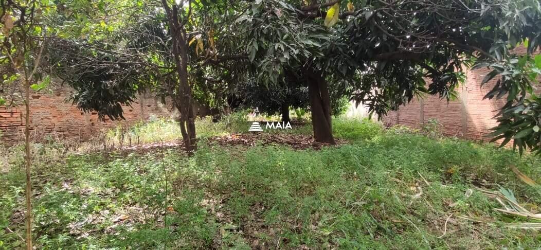 Terreno/Área à venda no Santa Maria: 