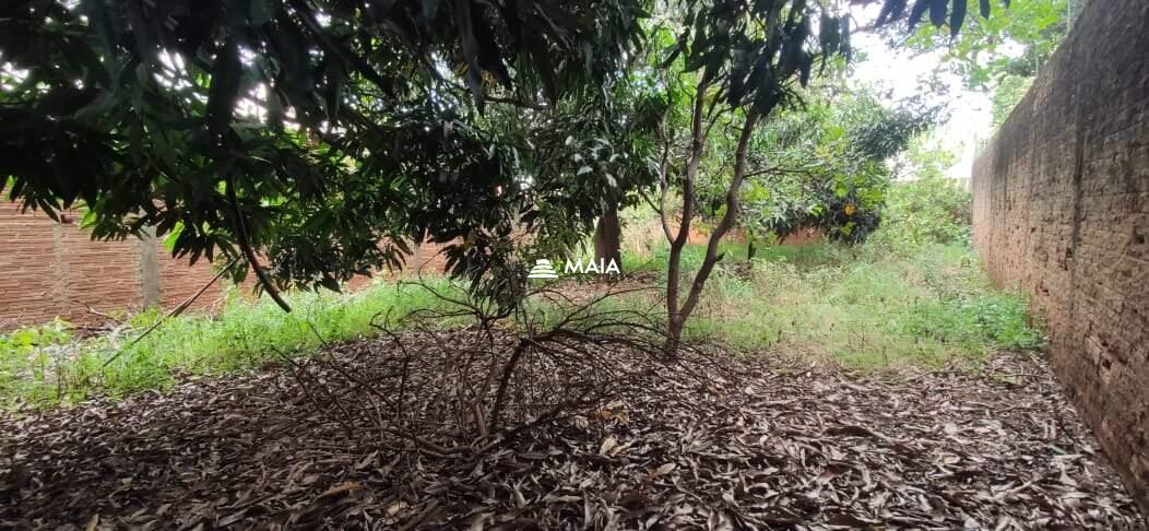 Terreno/Área à venda no Santa Maria: 