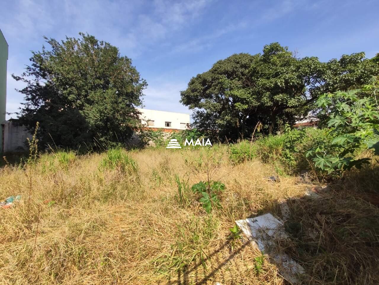 Terreno/Área à venda no Santa Maria: 