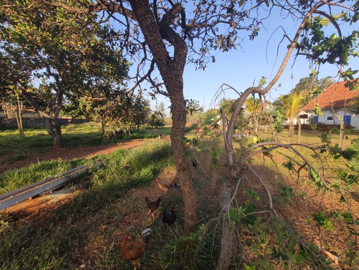 Terreno em Condomínio à venda no Jockey Park: 