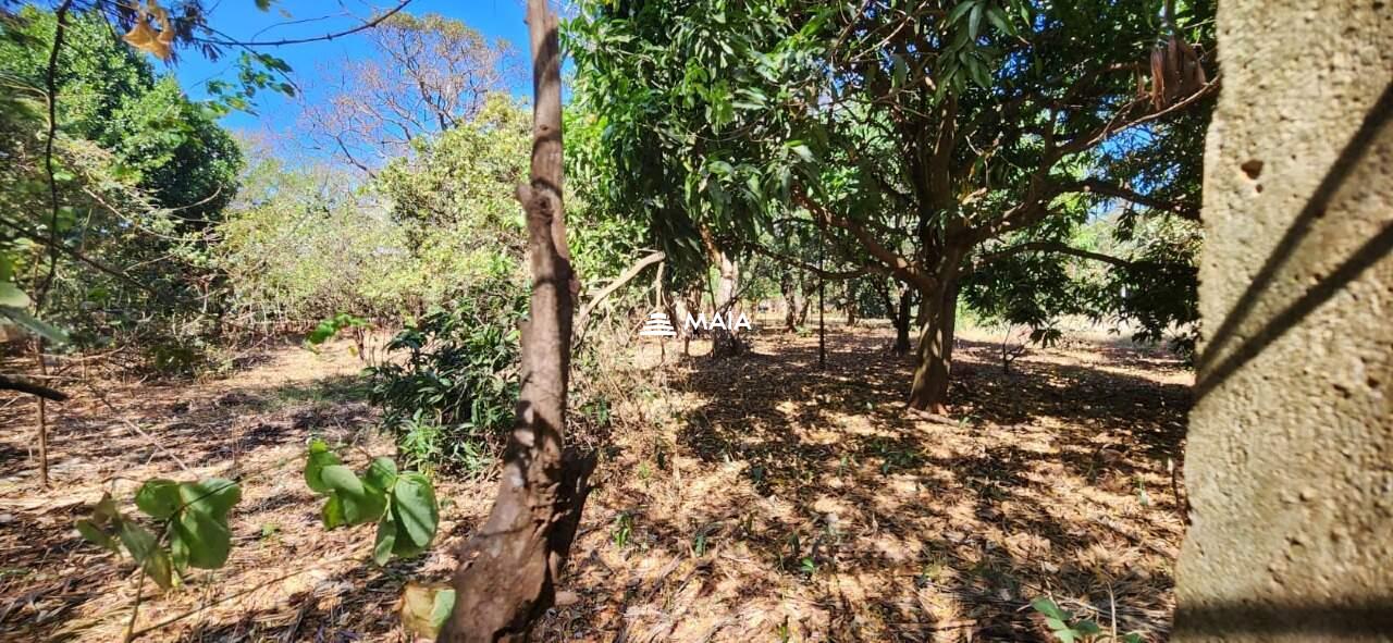 Terreno em Condomínio à venda no Jockey Park: 