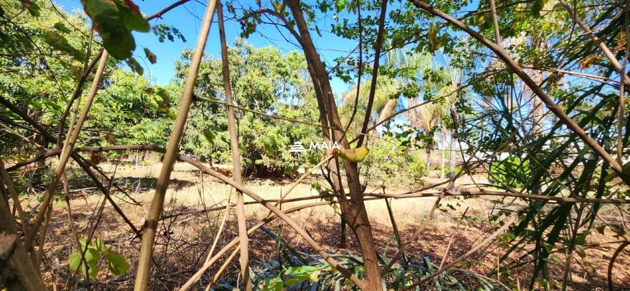 Terreno em Condomínio à venda no Jockey Park: 