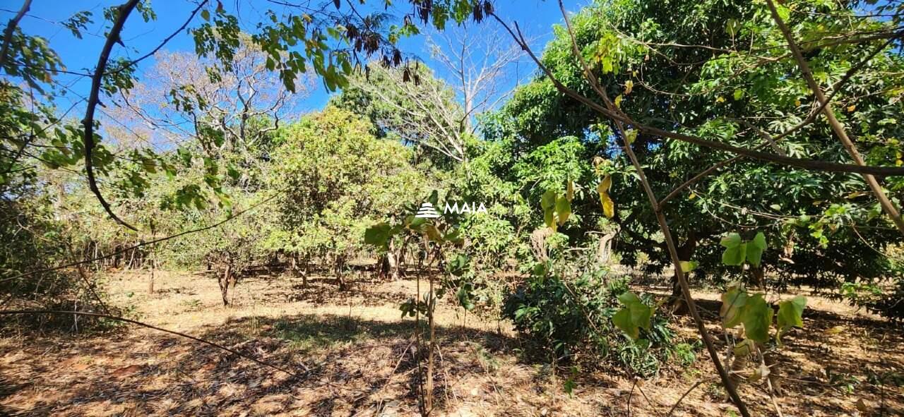 Terreno em Condomínio à venda no Jockey Park: 