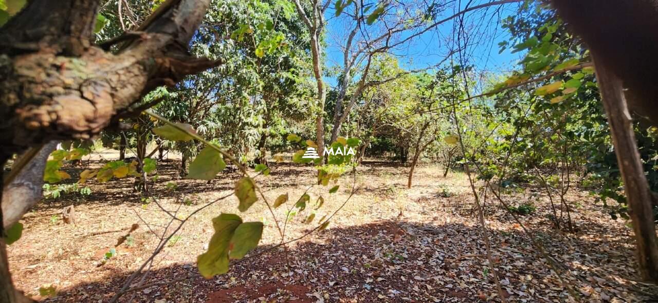 Terreno em Condomínio à venda no Jockey Park: 