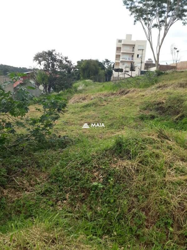 Terreno/Área à venda no Jardim São Bento: 