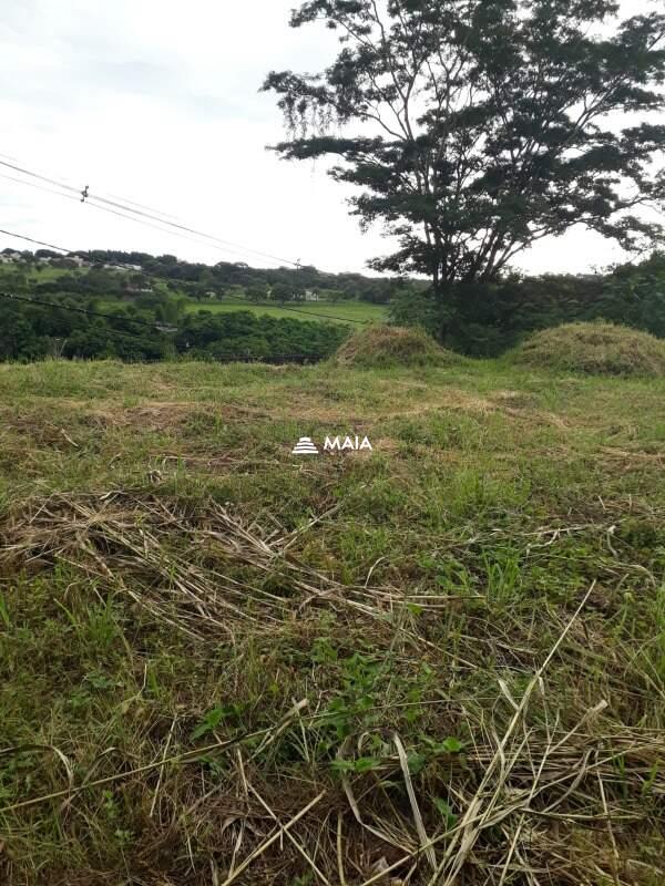 Terreno/Área à venda no Jardim São Bento: 