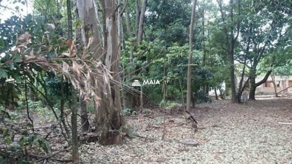 Terreno/Área à venda no Estados Unidos: 