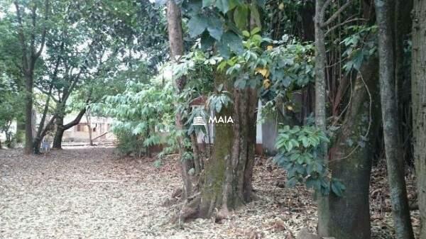 Terreno/Área à venda no Estados Unidos: 