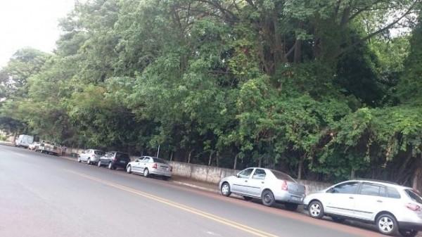 Terreno à venda no bairro Estados Unidos 