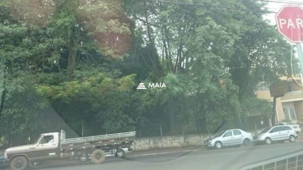 Terreno/Área à venda no Estados Unidos: 