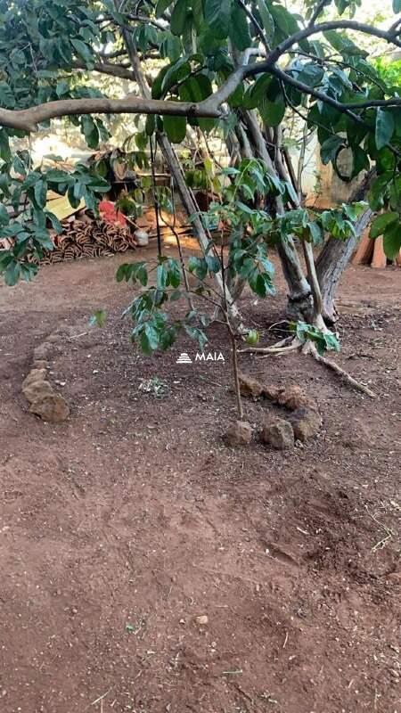 Terreno/Área à venda no Boa Vista: 