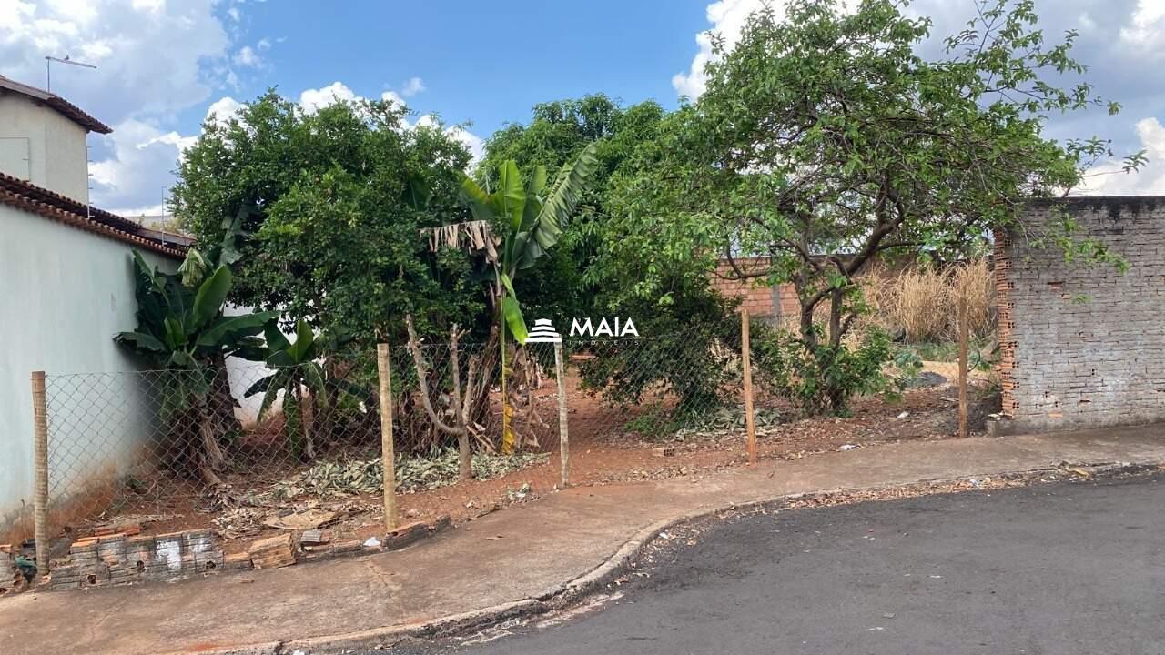 Terreno/Área à venda no Conjunto Umuarama: 
