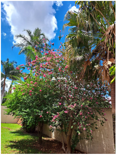 Casa à venda no Santos Dumont: 