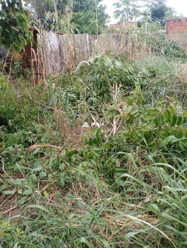 Terreno/Área à venda no Fabrício: 