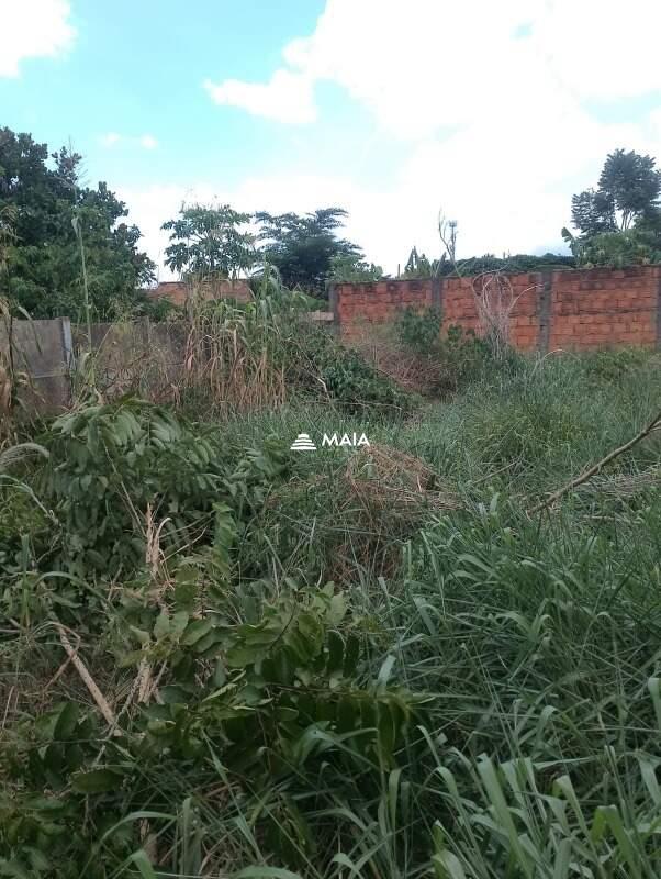 Terreno/Área à venda no Fabrício: 
