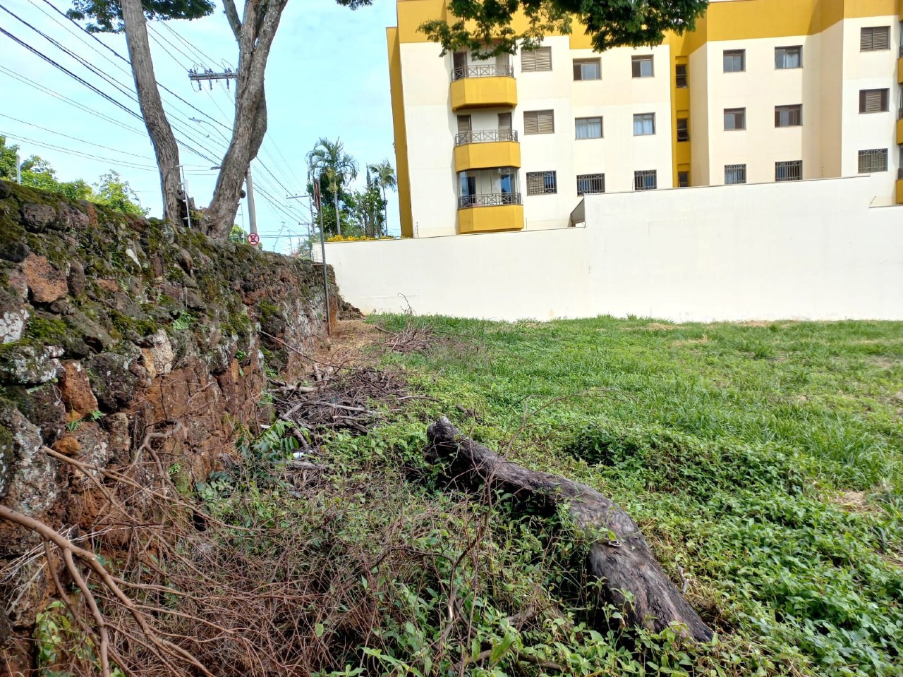 Terreno/Área à venda no Nossa Senhora da Abadia: 