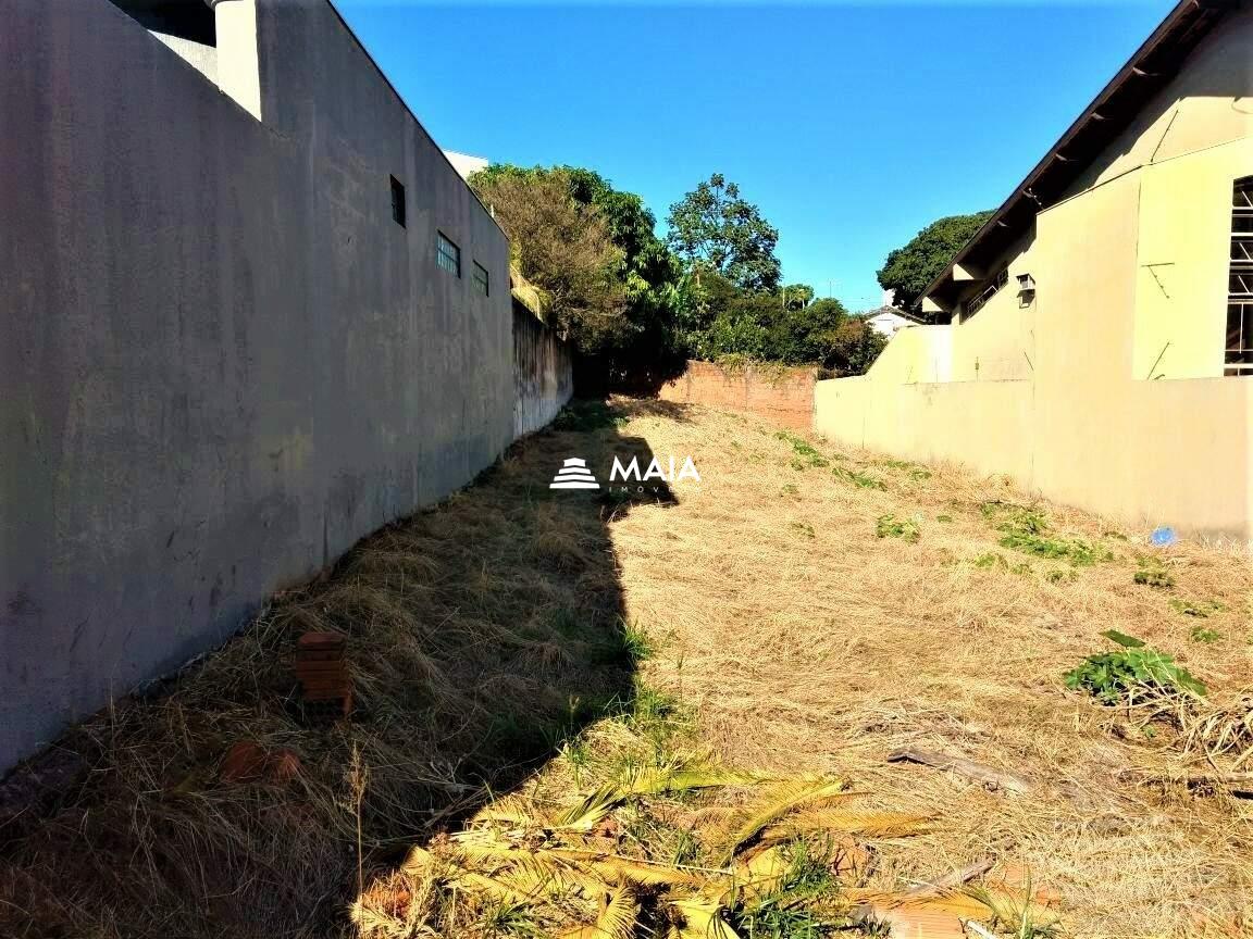 Terreno/Área à venda no Jardim Alexandre Campos: 