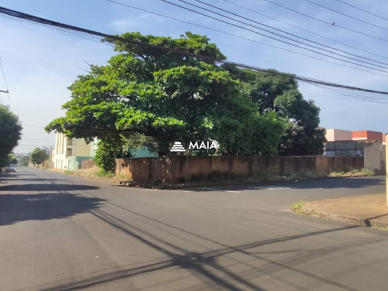 Terreno/Área para aluguel no Santa Maria: 