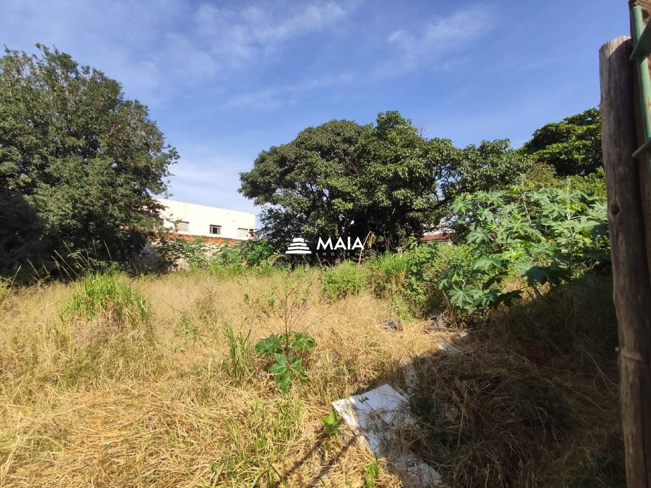 Terreno/Área para aluguel no Santa Maria: 