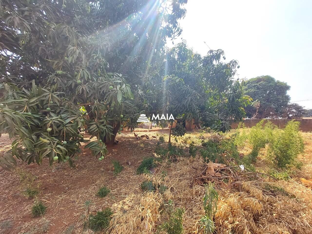 Terreno/Área à venda no Recreio dos Bandeirantes: 