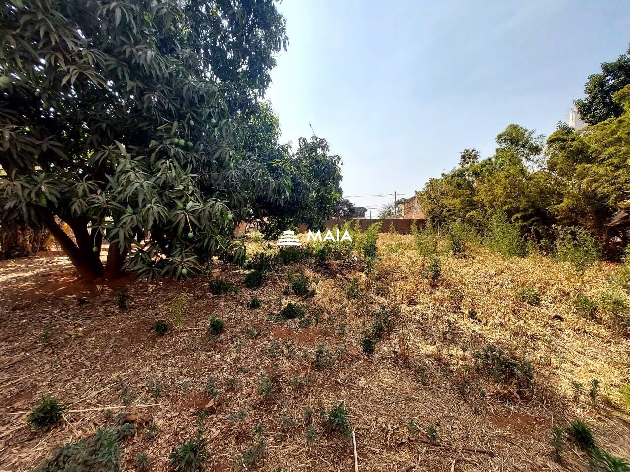 Terreno/Área à venda no Recreio dos Bandeirantes: 